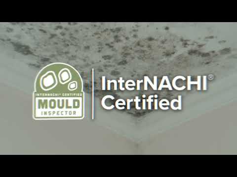 While I'm Here: Add a Mould Inspection to Your Home Inspection
