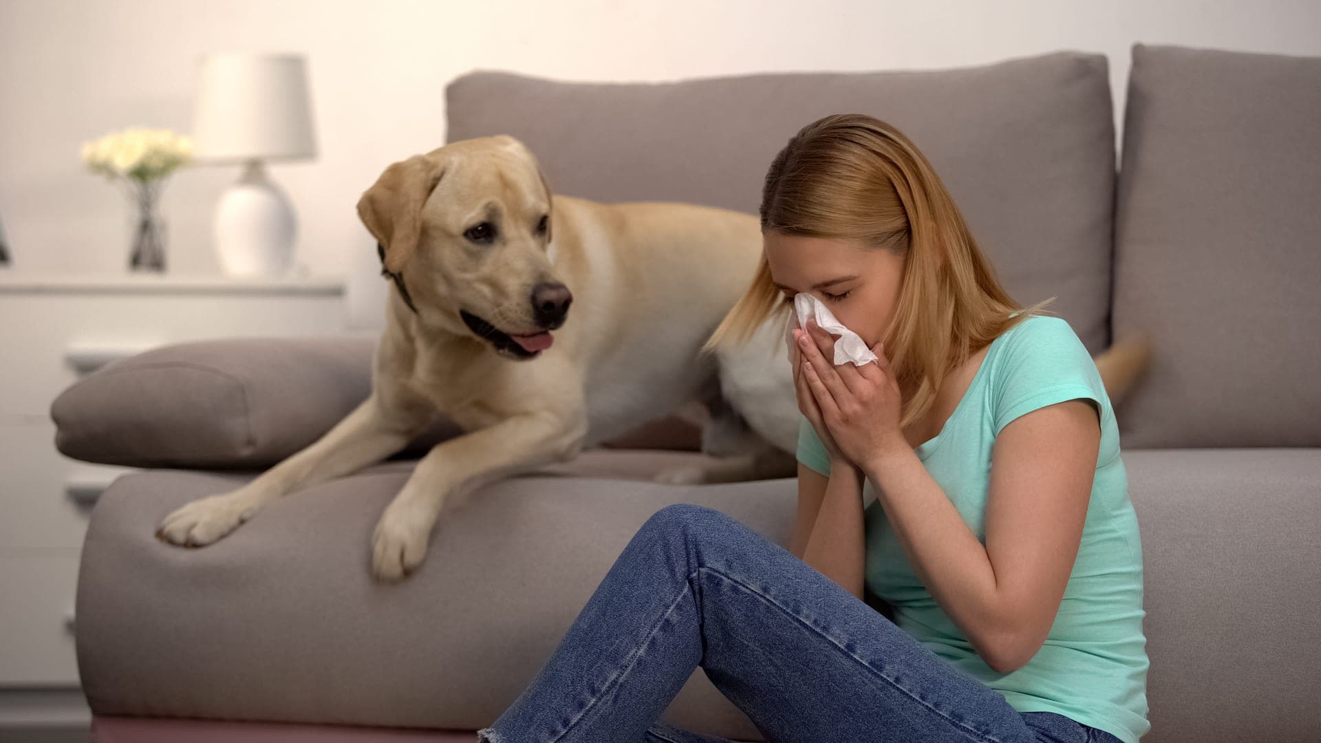 Family managing indoor allergens with HEPA filtration and humidity control for seasonal allergy relief