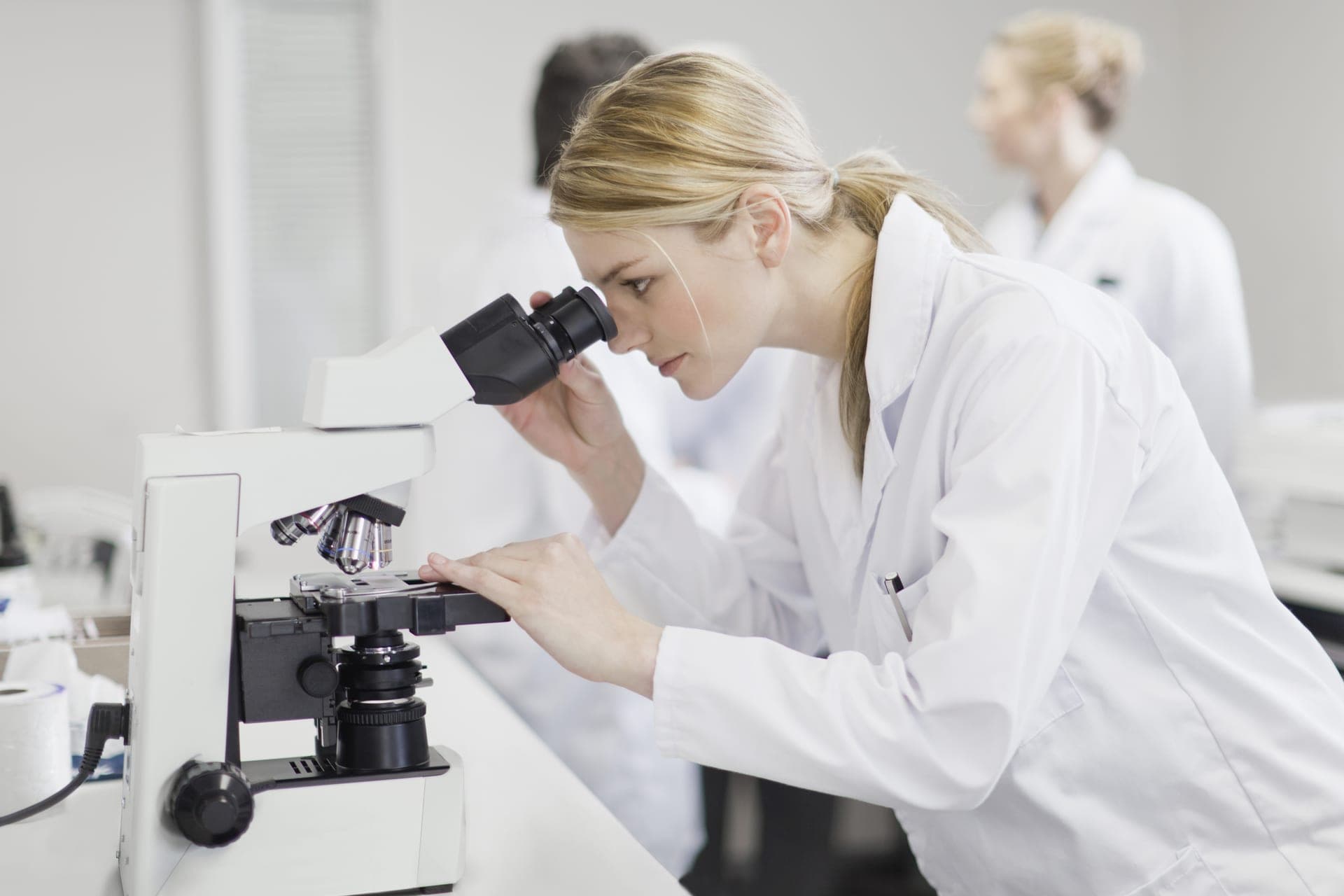 Certified asbestos surveyor systematically inspecting a building for asbestos-containing materials