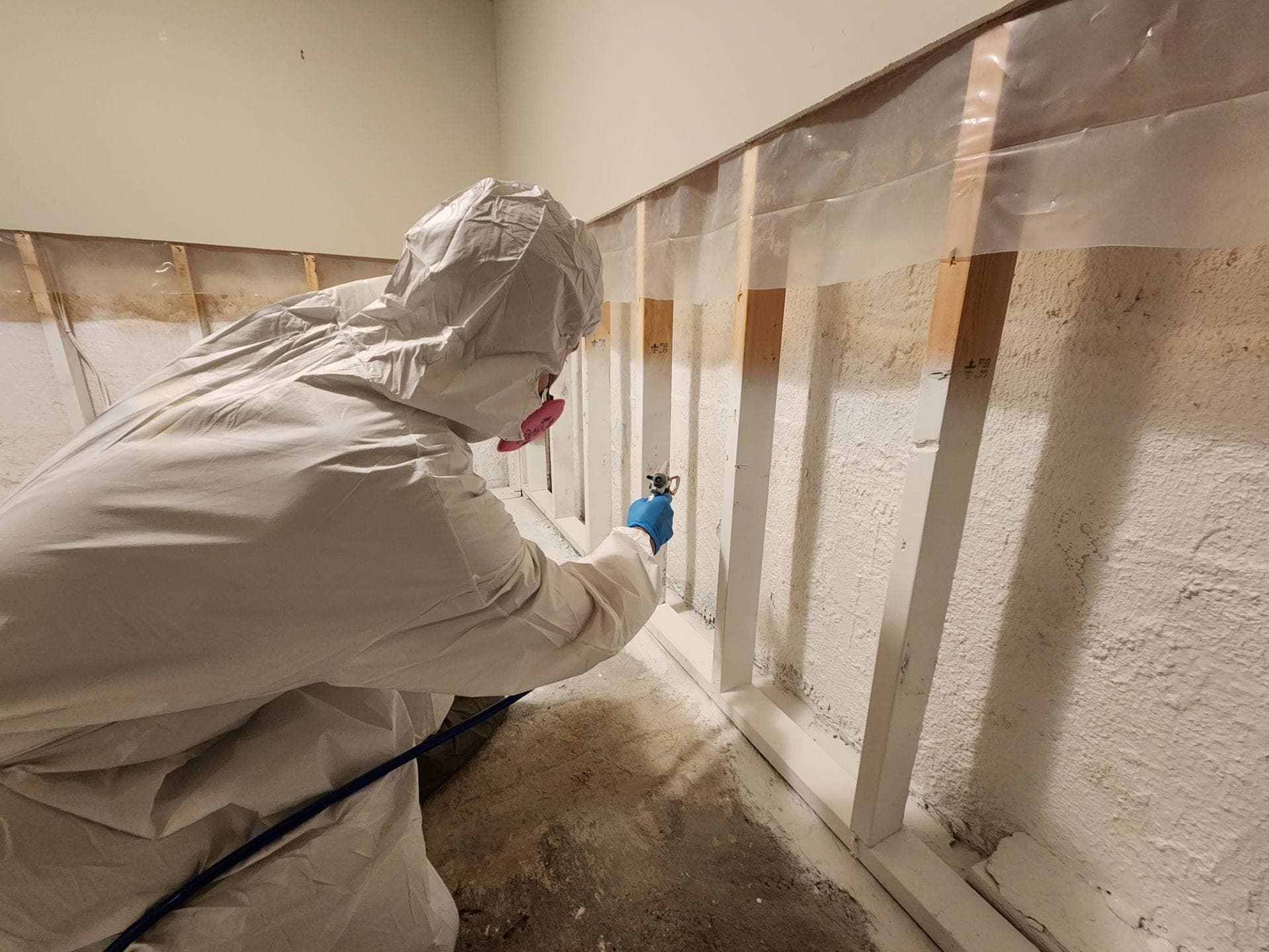 Mould remediation cost breakdown for Winnipeg Manitoba homeowners