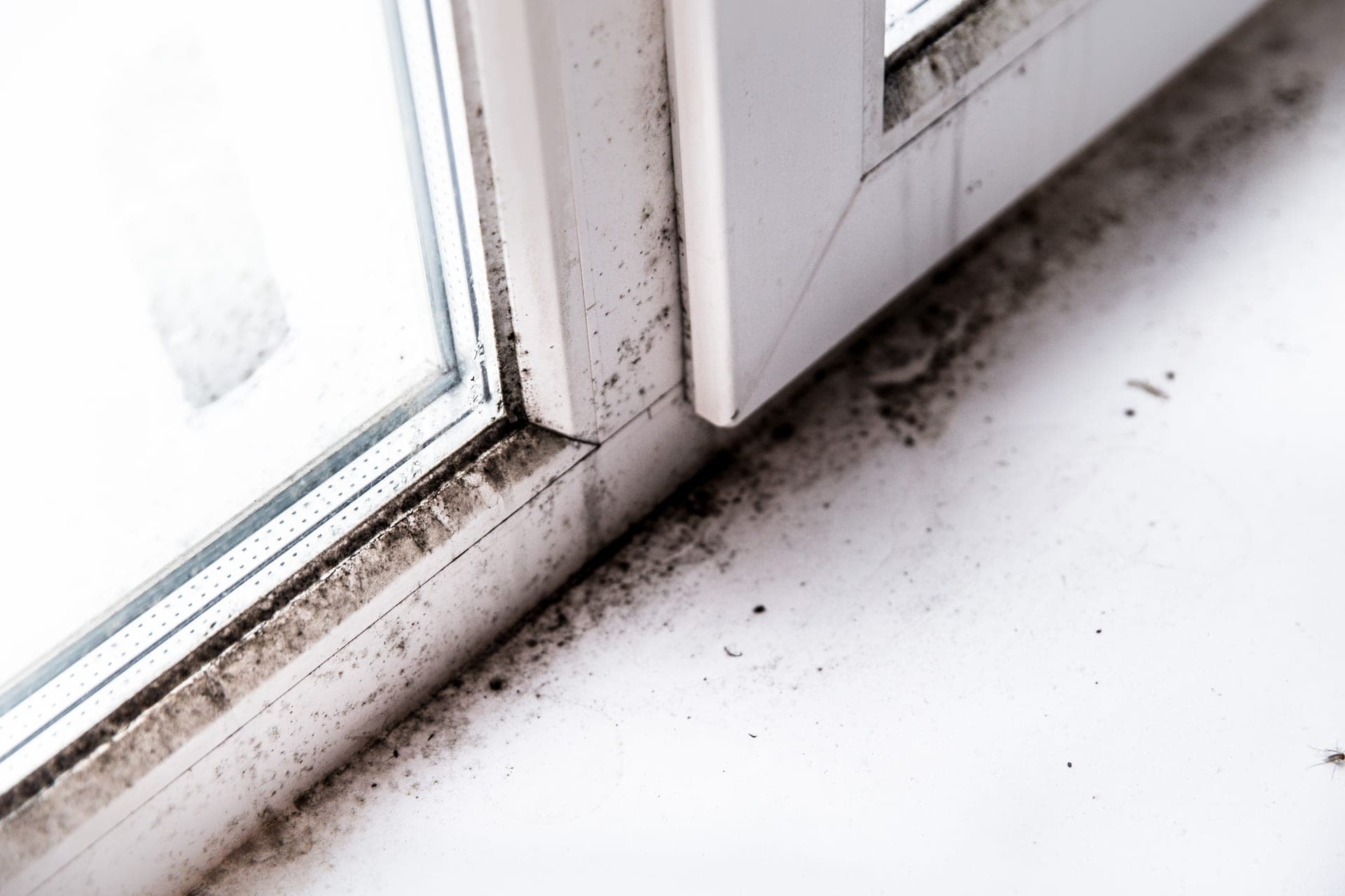 Mould growth along a window sill and caulking caused by condensation