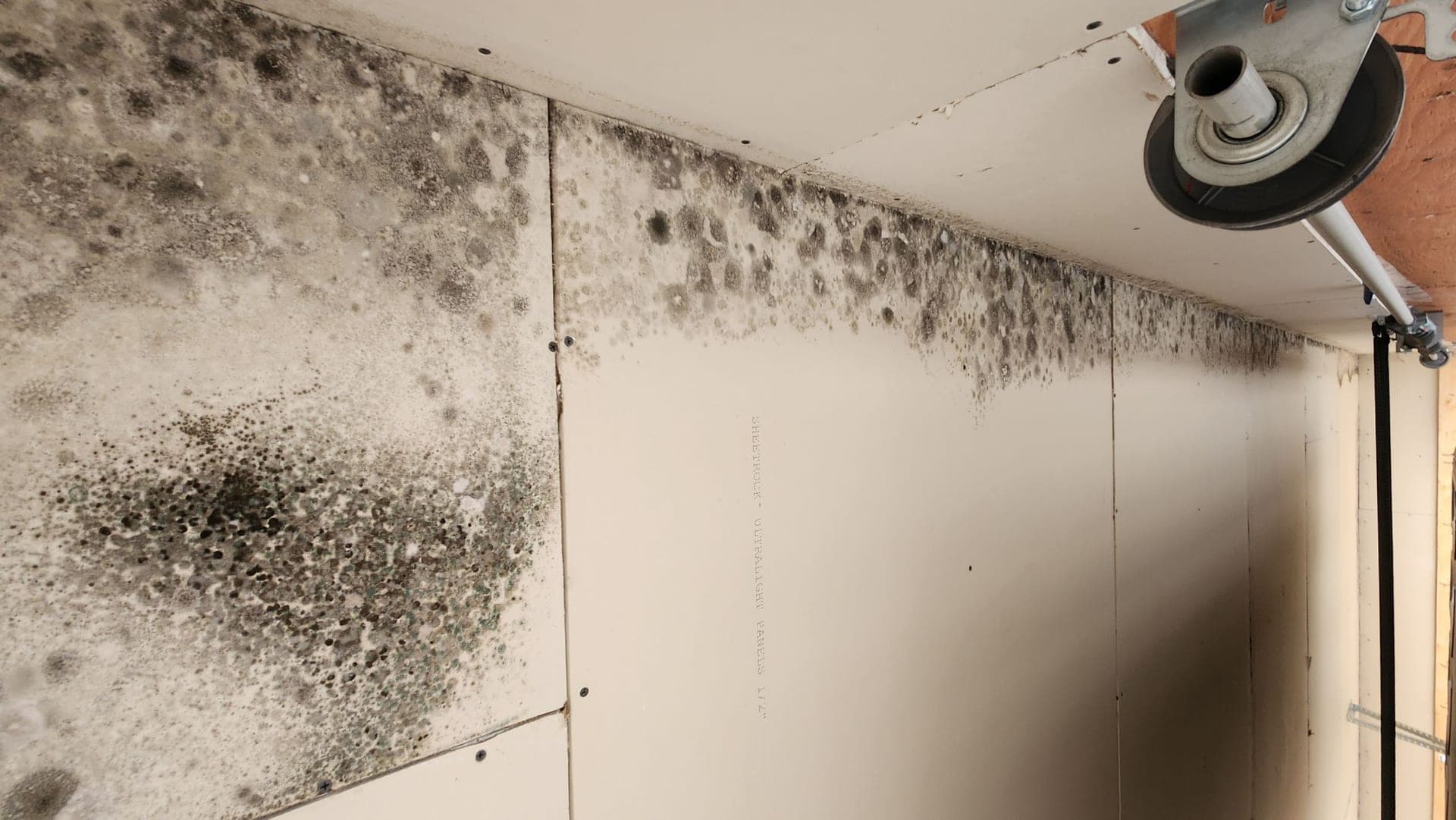 Mould-resistant building materials being installed in a Manitoba home renovation