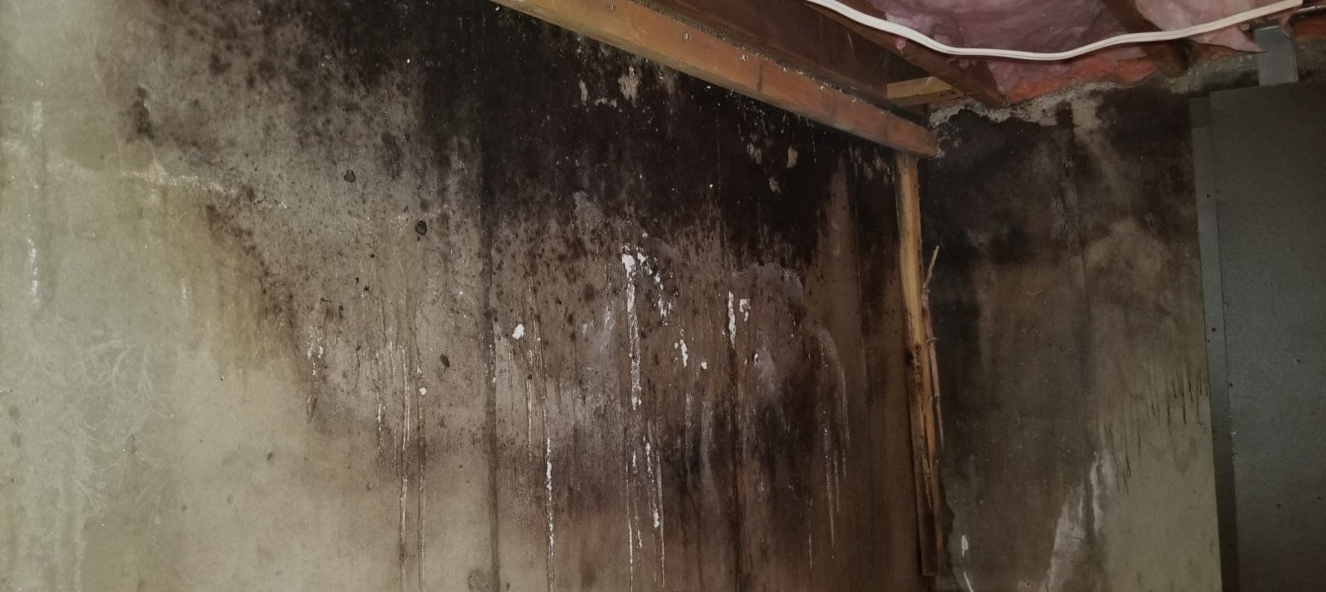 Mould growth behind basement walls that could be prevented with proper moisture control
