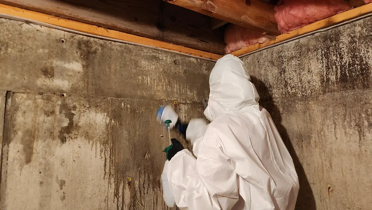 Technician treating a basement foundation wall